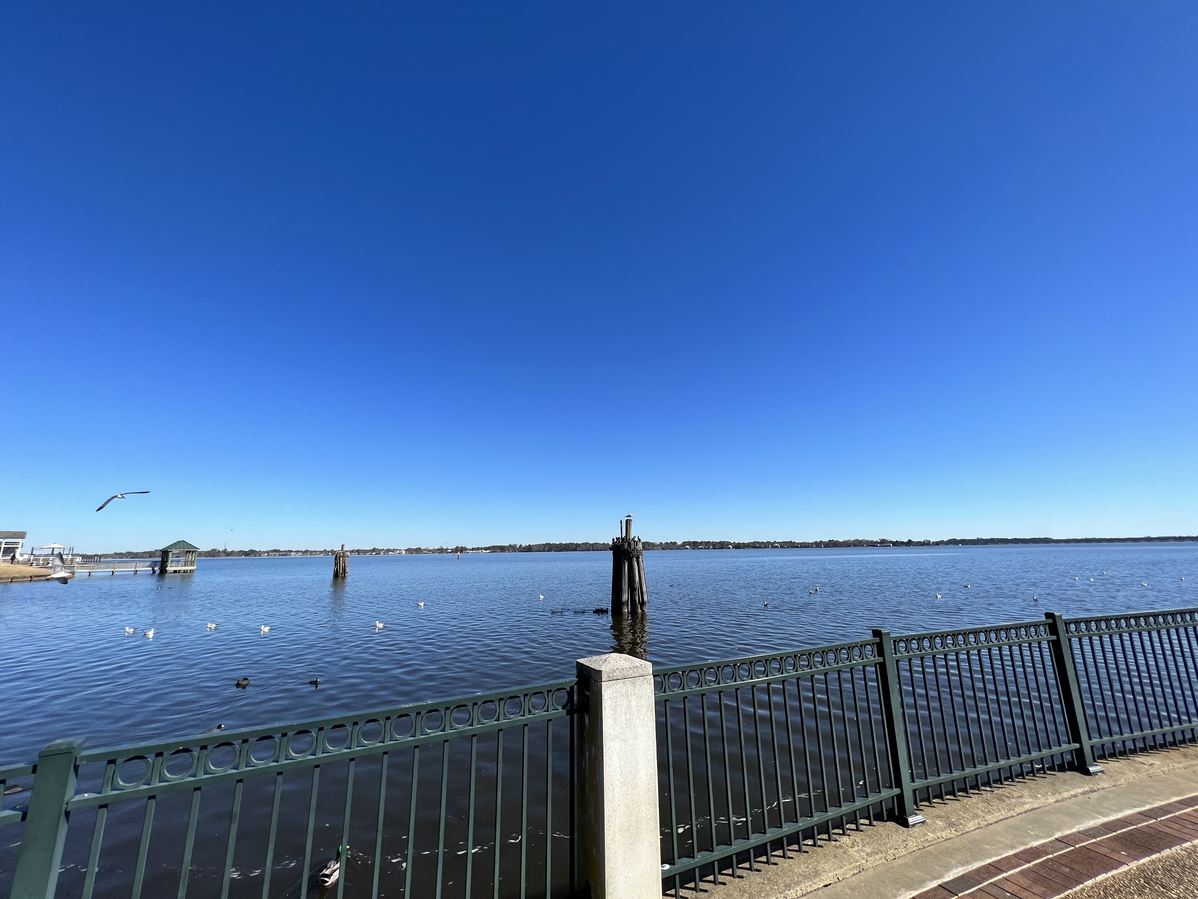 ./2023/01 - New Bern/IMG_7437.JPG